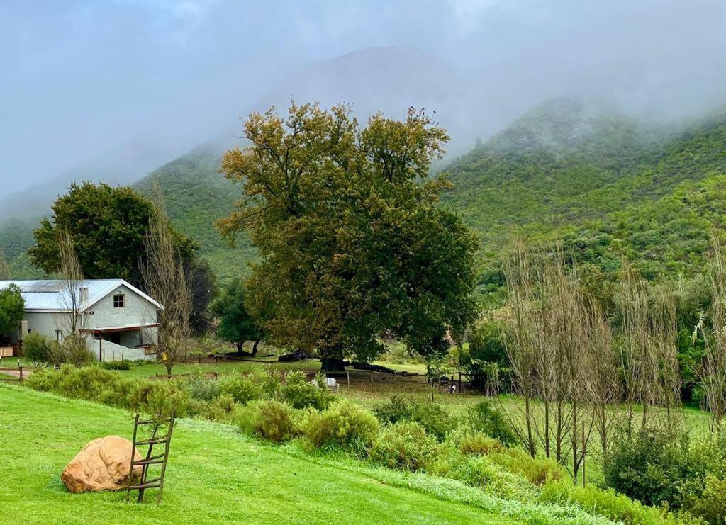 Pat Busch Mountain Reserve Robertson Extérieur photo