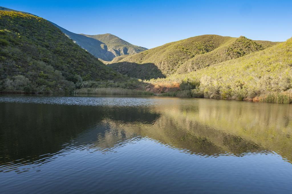Pat Busch Mountain Reserve Robertson Extérieur photo